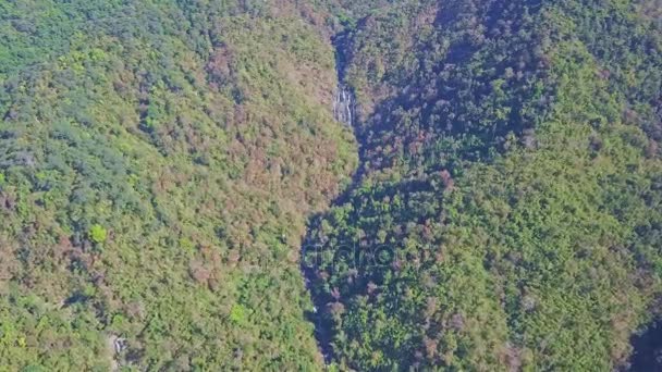 Tropischer Dschungel mit gewundenen Schluchten im Hochland — Stockvideo