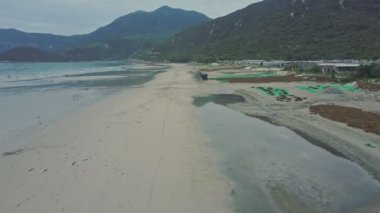 insanlar kuru deniz yosunu sahil üzerinde toplama