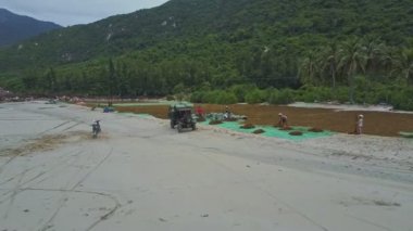 insanlar kuru deniz yosunu sahil üzerinde toplama