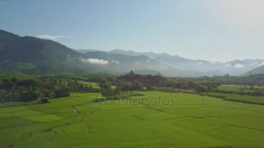 pirinç tarlaları hills karşı tropik bitkiler arasında