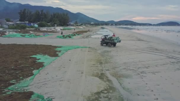 Voiture avec sacs d'algues conduisant le long de la plage — Video