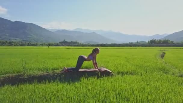 Meisje doet yoga in rijst veld — Stockvideo