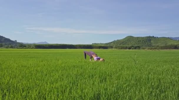fille faisant du yoga dans le champ de riz 