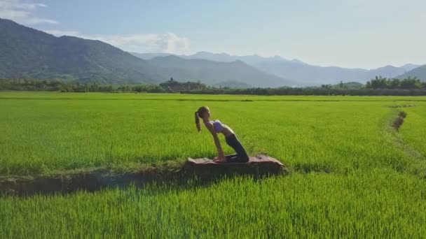 Meisje doet yoga in rijst veld — Stockvideo