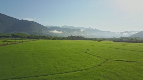 Plantações de arroz contra terras altas pictóricas — Vídeo de Stock