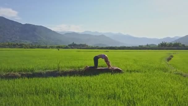 Flicka gör yoga i risfält — Stockvideo