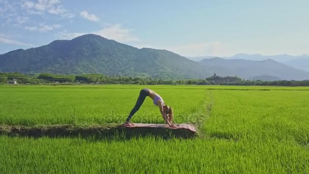 Flicka gör yoga i risfält — Stockvideo