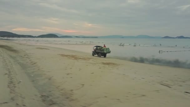 Auto con sacchi di alghe guida lungo la spiaggia — Video Stock