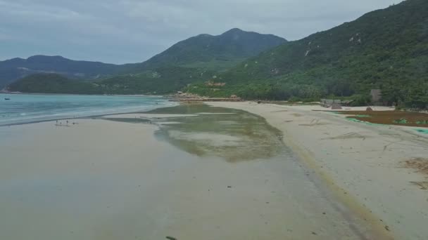 Sandstrand med tång på nät — Stockvideo