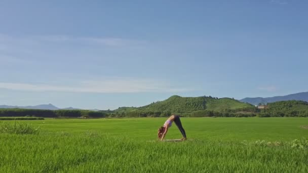 Chica haciendo yoga en el campo de arroz — Vídeos de Stock