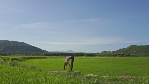 Girl doing yoga in rice field — Stock Video