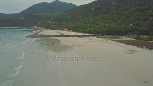 Les gens ramassant des algues sèches sur le rivage — Video