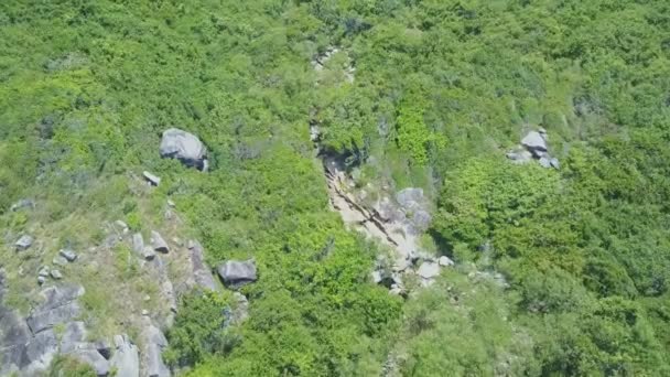 Spieczony creek i obrazowym dżungli bez granic — Wideo stockowe