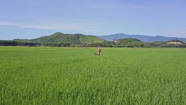 Дівчина робить йогу в рисовому полі — стокове відео