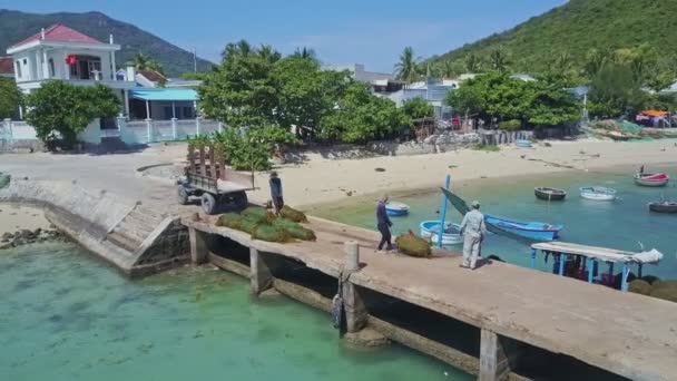 Mensen die werken op pier in de buurt van boten in Oceaan — Stockvideo