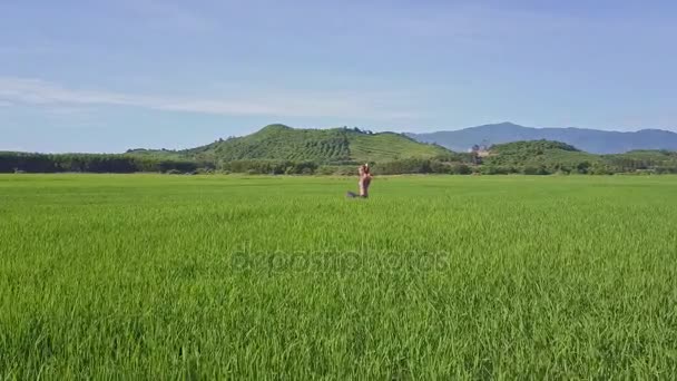 Chica haciendo yoga en el campo de arroz — Vídeo de stock