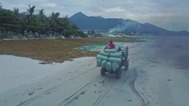 Автомобиль с мешками водорослей едет по пляжу — стоковое видео