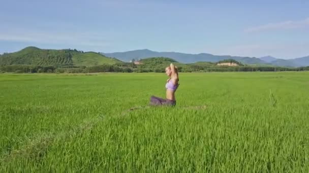 Flicka gör yoga i risfält — Stockvideo