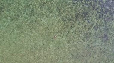 sırt okyanustaki Yüzme kız