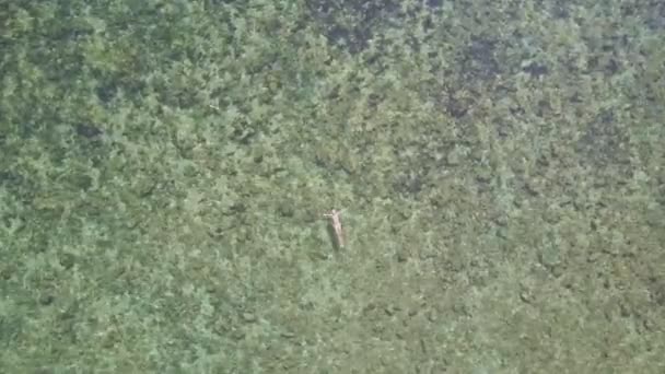 fille nager sur retour dans l'océan 