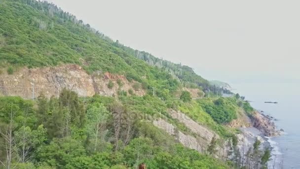 Chica disfrutando del océano y paisaje desde la cima de la colina — Vídeos de Stock