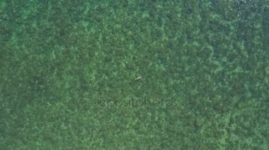 Kız geri okyanus su yüzme