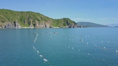 balık ağlarına huzurlu sınırsız Denizi