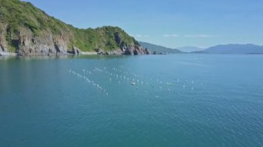 balık ağlarına huzurlu sınırsız Denizi