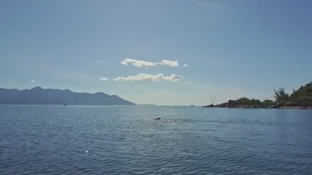 Kız geri okyanus su yüzme — Stok video