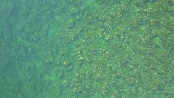 Τυρκουάζ διάφανη κάτω στον ωκεανό — Αρχείο Βίντεο