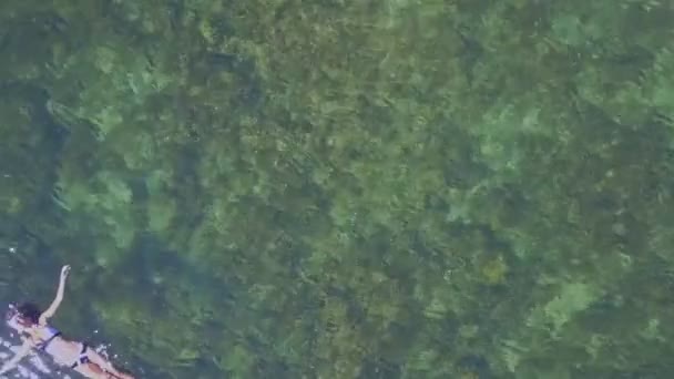 海の水で背中で泳いでいる少女 — ストック動画