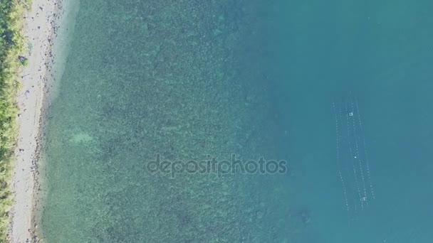 Oceano fundo transparente turquesa — Vídeo de Stock