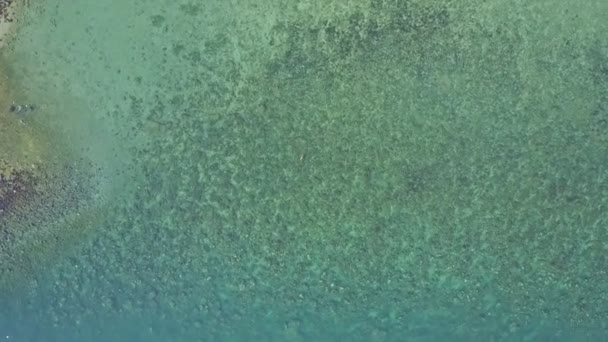 Sığ turkuaz okyanus yüzeyinin — Stok video
