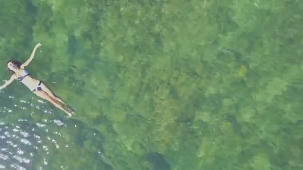 Fille nager sur retour dans l'eau de l'océan — Video