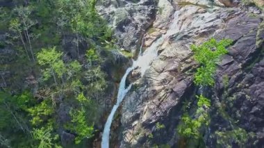 Tagu şelale tropikal yayla ormanda