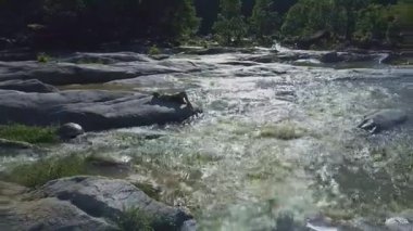 taş river rapids arasında yatan kız