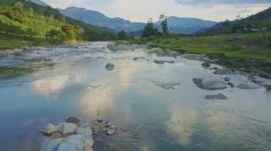 taş tropikal yayla orman nehirde