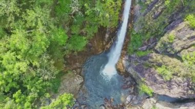 Tagu şelale tropikal yayla ormanda