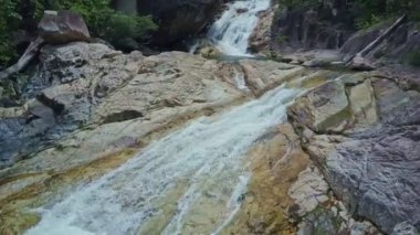 dağ nehir tropikal ormanda akarsu