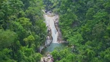 Dağ ormandaki küçük şelale