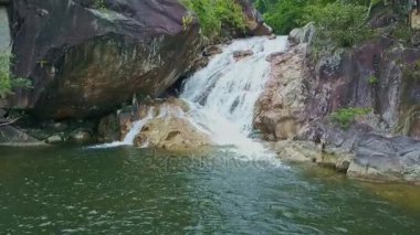 Dağ ormandaki küçük şelale