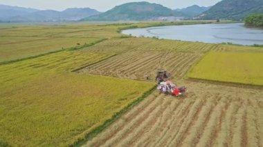 pirinç tarlaları karşı küçük bir göl
