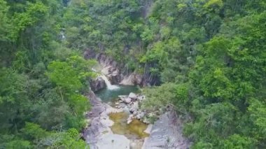 Dağ ormandaki küçük şelale