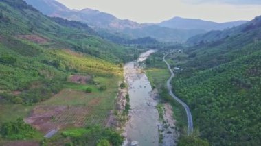 taş tropikal yayla orman nehirde