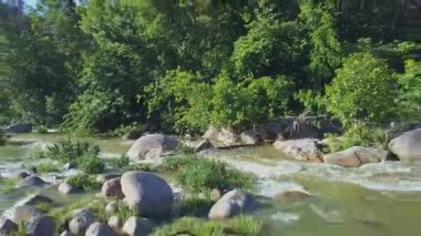 fırtınalı dağ nehir Rapids arasında akış