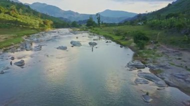 taş tropikal yayla orman nehirde
