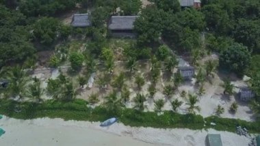 palmiye ağaçları koru ve Binalar üzerinde Beach