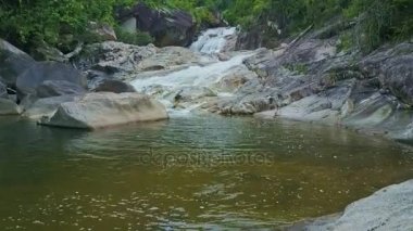 Dağ ormandaki küçük şelale