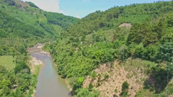 Rivière parmi les pierres dans la forêt des hautes terres — Video