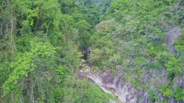 Small waterfall in mountain forest — Stock Video